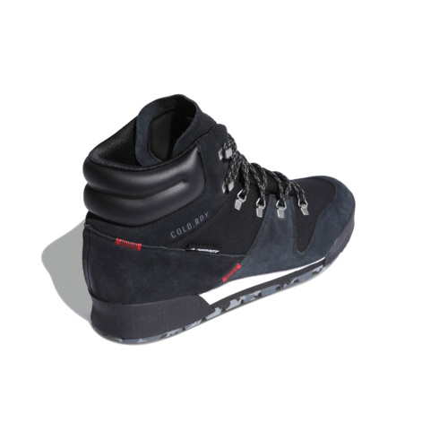 Ботинки мужские Adidas Terrex Snowpitch C.RDY FV7957